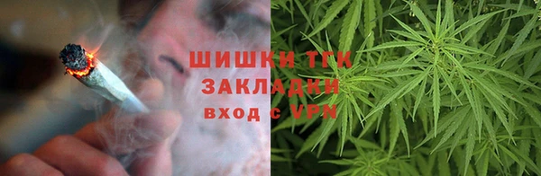 сатива Беломорск