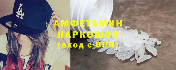сатива Беломорск