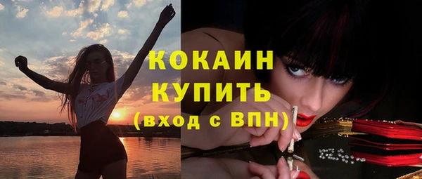 сатива Беломорск