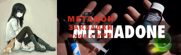 сатива Беломорск