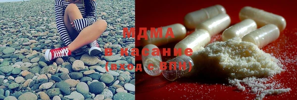 сатива Беломорск