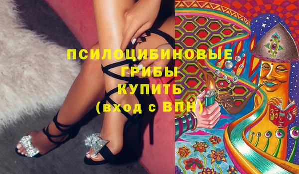 прущий лед Белокуриха