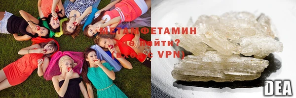 сатива Беломорск