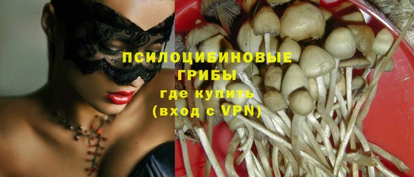прущий лед Белокуриха