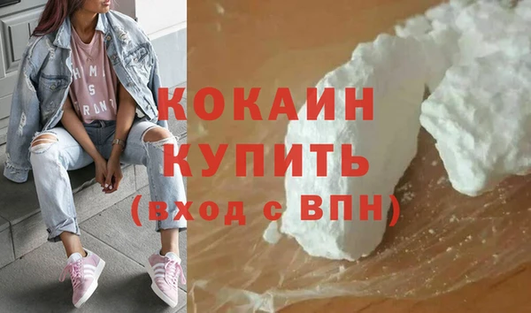 сатива Беломорск